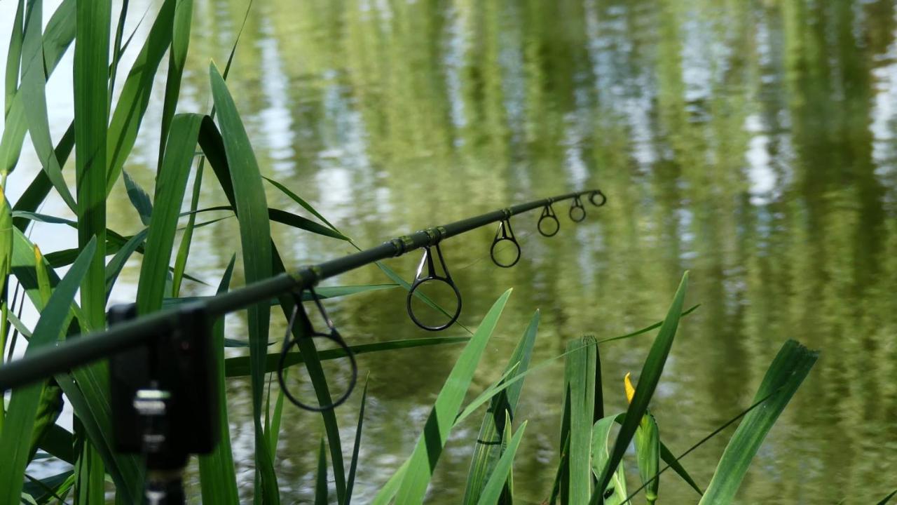 Rum Bridge Fisheries "The Cabin" Hotell Clare Exteriör bild