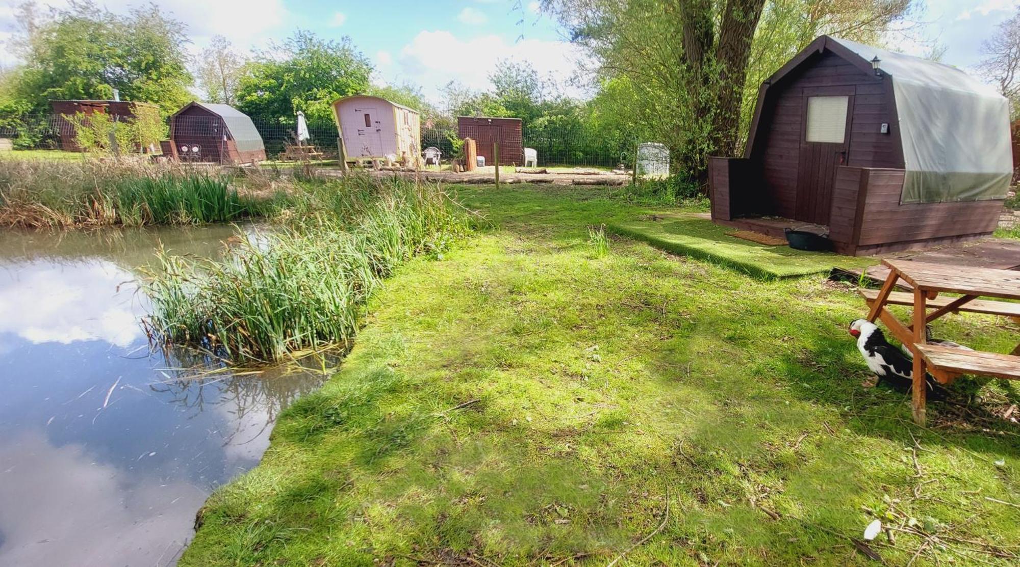 Rum Bridge Fisheries "The Cabin" Hotell Clare Exteriör bild