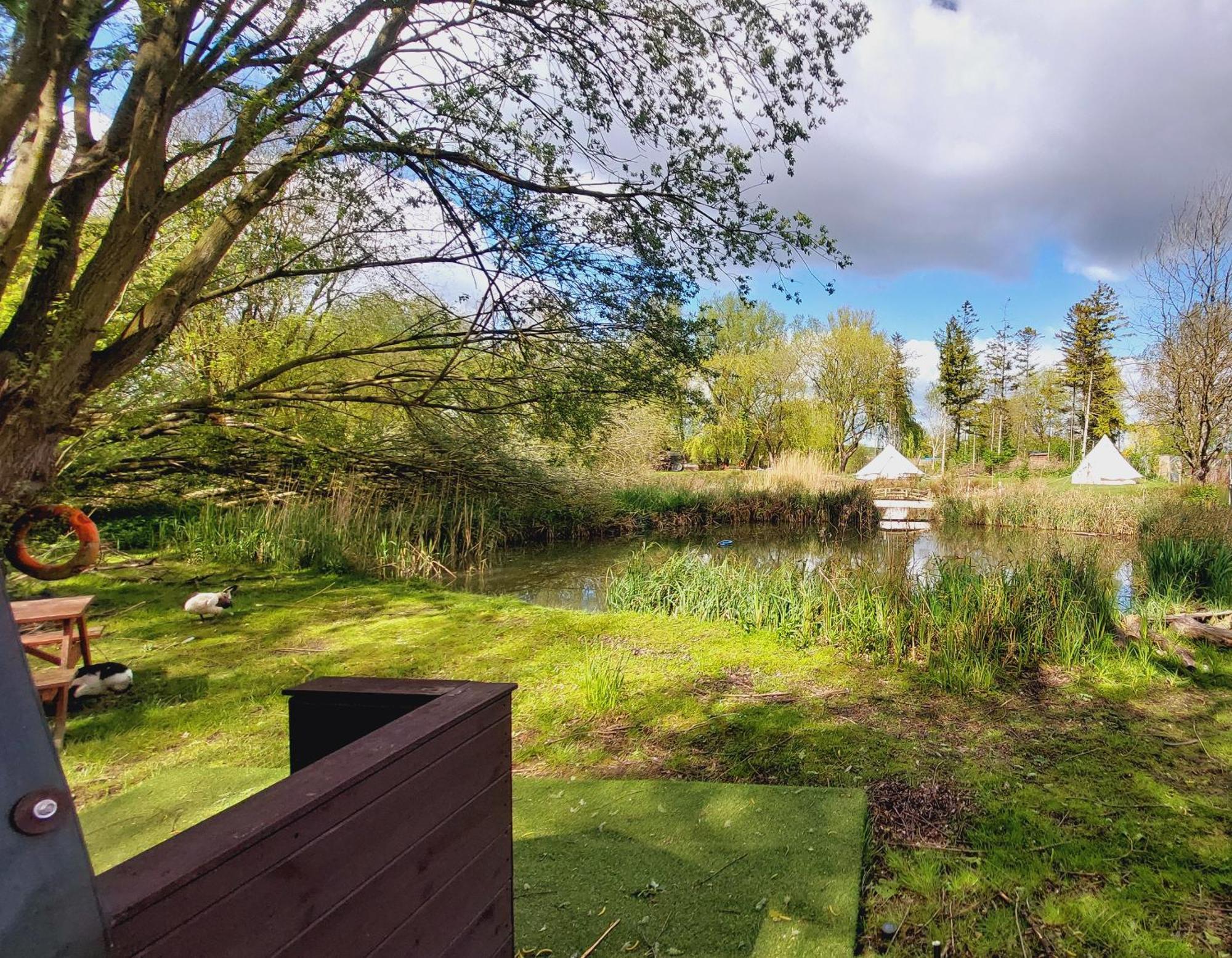 Rum Bridge Fisheries "The Cabin" Hotell Clare Exteriör bild