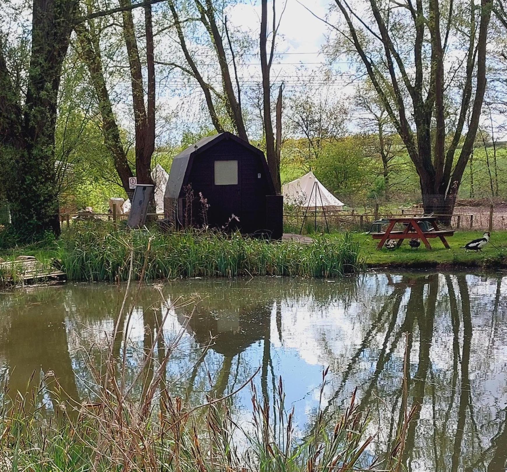 Rum Bridge Fisheries "The Cabin" Hotell Clare Exteriör bild