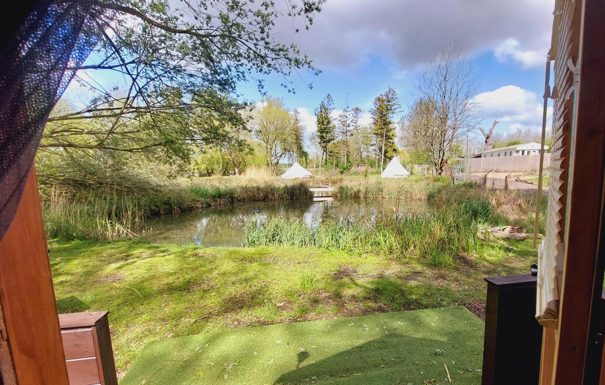 Rum Bridge Fisheries "The Cabin" Hotell Clare Exteriör bild
